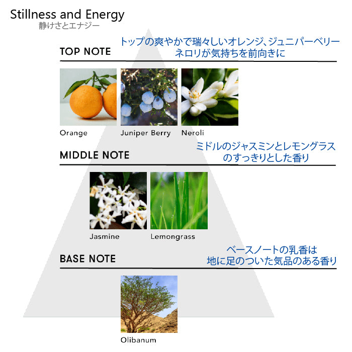 シンピュルテ Too Good トゥーグッド マルチベネフィット オイル Stillness and Energy / 静けさとエナジー 200ml 詰替え用 ヘアオイル 洗い流さないトリートメント