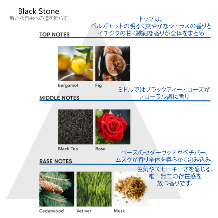 シンピュルテ Too Good トゥーグッド マルチベネフィット オイル Black Stone（新たな自由への道を照らす） 50ml　ヘアオイル