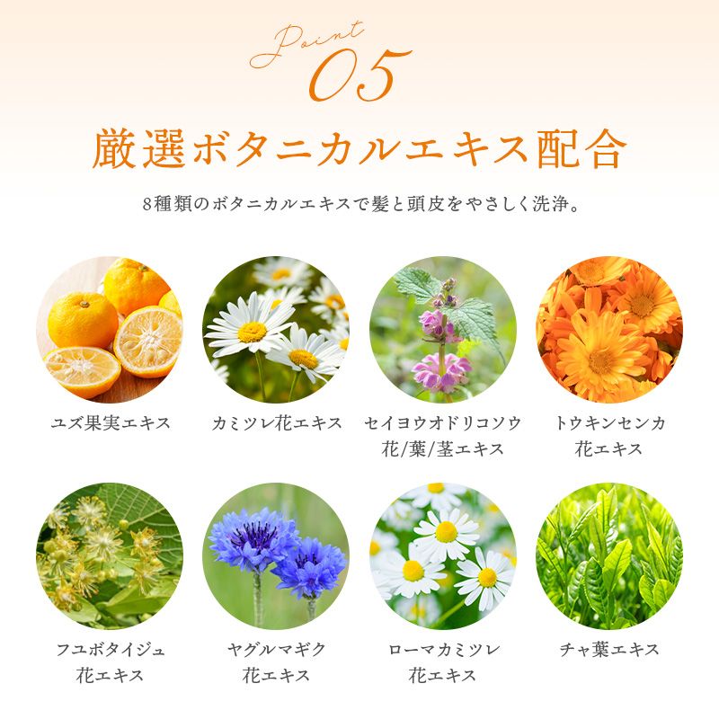 【２本セット】ワンケアシャンプー オールインワン 500ml　アミノ酸 無添加 ノンシリコン 天然 精油 頭皮 スカルプ 弱酸性