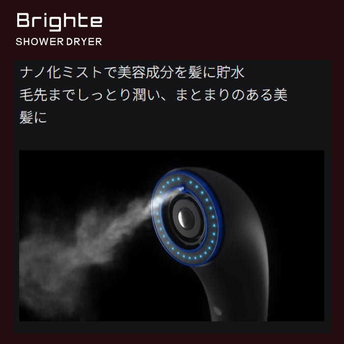 SHOWER DRYER シャワー ドライヤー Brighte