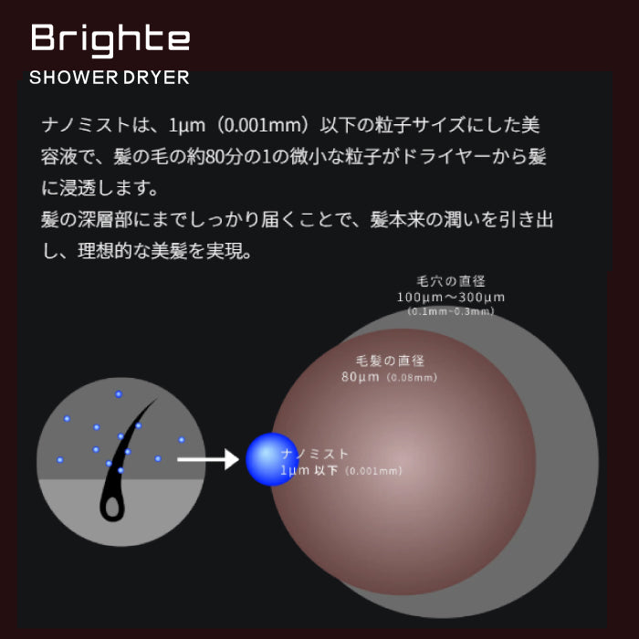 SHOWER DRYER シャワー ドライヤー Brighte