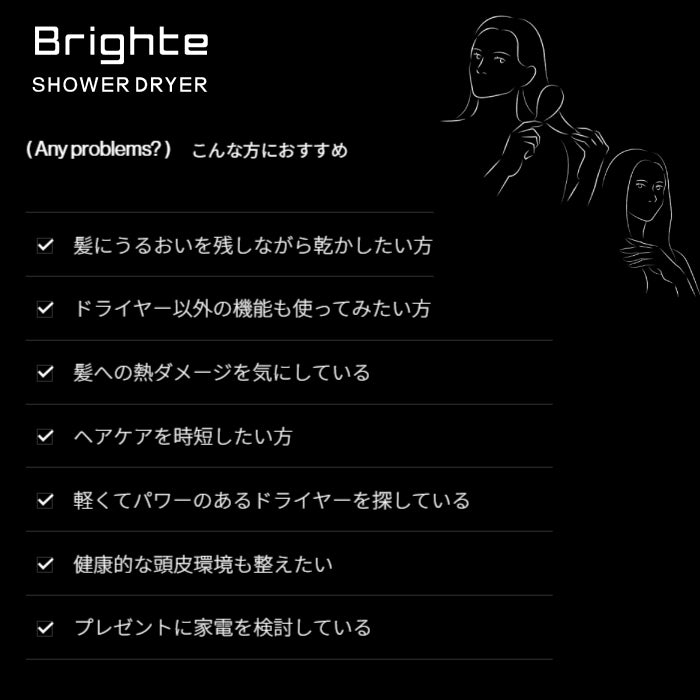 SHOWER DRYER シャワー ドライヤー Brighte