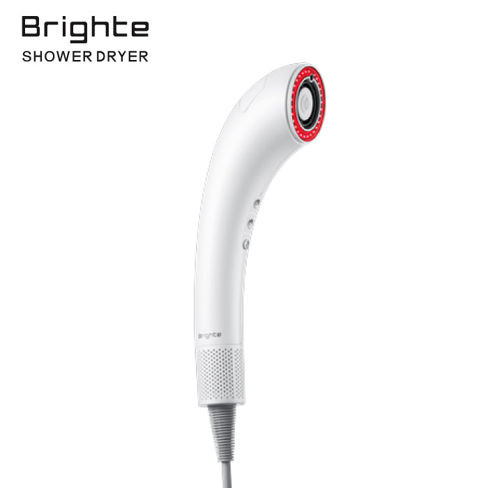 SHOWER DRYER シャワー ドライヤー Brighte